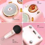 Divoom-Fairy-OK-Portable-Bluetooth-Speaker-with-Microphone-Karaoke-Function-with-Voice-Change-FM-Radio-TF-2