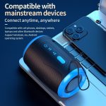 TSN-1-Portable-Speaker-Wireless-Bluetooth-Speakers-with-5-3-Stereo-FM-SD-USB-Disk-Aux-11