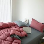 3-4-pcs-bedding-set-home-textile-home-student-dormitory-bed-linen-quilt-cover-INS-style-4