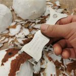 Coconut-Opener-Fruit-Opener-Double-Ended-Coconut-Cutter-With-Wooden-Handle-Coconut-Shell-Knife-Kitchen-Gadget-3