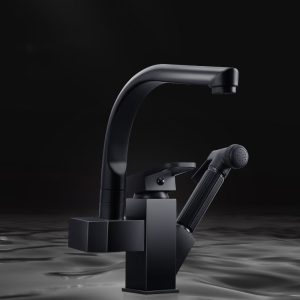 Pull-Out-Kitchen-Sink-Faucet-Multifunctional-Pressurized-Sprayer-Booster-Nozzle-Cold-and-Hot-Water-Mixing-Tap