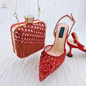 QSGFC-2023-Nigeria-Fashion-Lace-Mini-Bag-And-Mid-Heel-Pointed-Toe-Luxury-Shoes-and-Bag