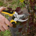1Pcs-Pruner-Garden-Scissors-Professional-Sharp-Bypass-Pruning-Shears-Tree-Trimmers-Secateurs-Hand-Clippers-Garden-Beak-4