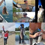 LINNHUE-Best-Aluminum-Alloy-Fishing-Pliers-Grip-Set-Fishing-Tackle-Hook-Recover-Cutter-Line-Split-Ring-4