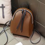 Mini-PU-Leather-Backpack-Women-s-Small-Shoulder-Bag-Tassel-Zipper-Women-s-Leather-School-Bag-5