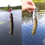 Proleurre-Fishing-Lure-Set-Minnow-Sinking-Hard-Bait-Swing-Crankbait-Crazy-Wobblers-Tackle-Artificial-Bionic-Crank-1
