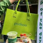 Youth-Tote-Bag-Leisure-Peekoo-Felt-Bag-Womens-Handbag-1